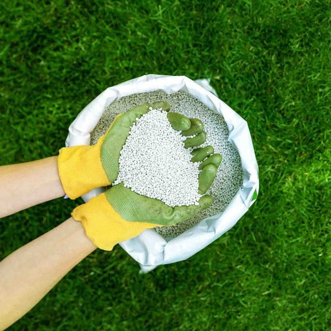 Fertilização de relvados