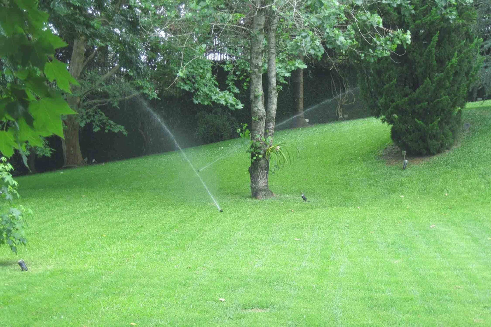 Sistema de rega automático