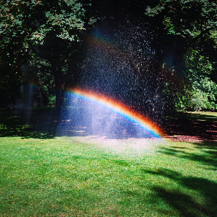 Manutenção de um jardim de verão