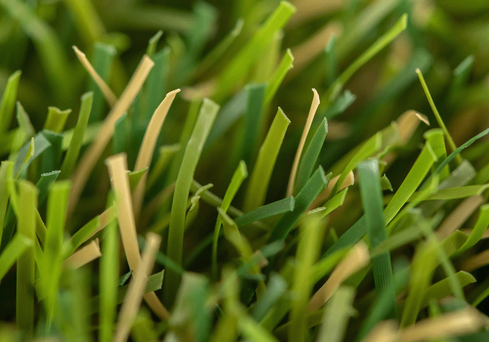 Relva artificial deluxe 45mm_Grass4you_2