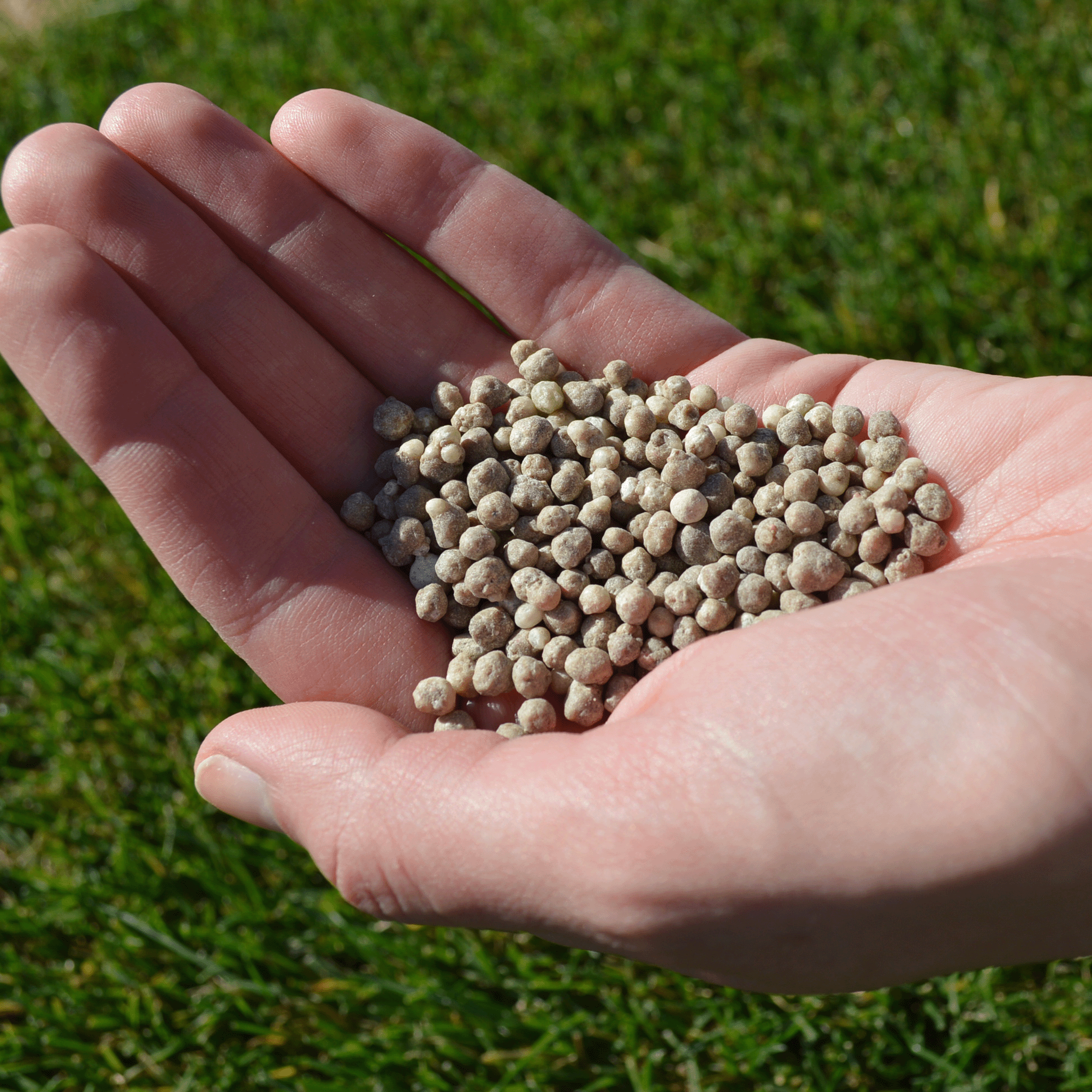Grass Food fertilizante granulado Grass4you_Adubo para relva