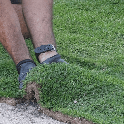 Serviço de colocação do tapete de relva natural Grass4you