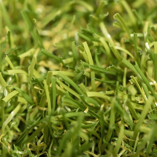Relva_artificial_BasicPlus_Realturf_Grass4you