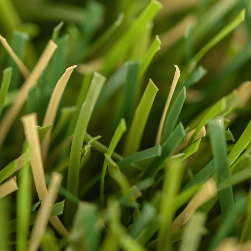 Relva_artificial_Deluxe_Realturf_Grass4you