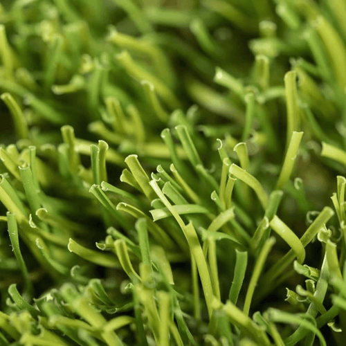 Relva_artificial_Master_Realturf_Grass4you