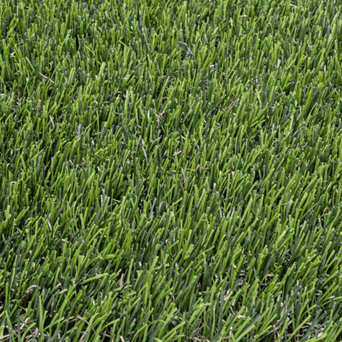 Relva artificial Nerum_Aurora_Grass4you