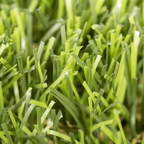 Relva_artificial_Prive_Realturf_Grass4you
