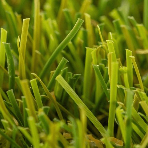 Relva_artificial_Provenza_Realturf_Grass4you