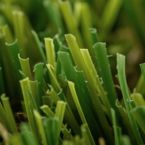 Relva_artificial_Romeo_Realturf_Grass4you