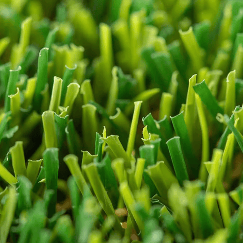 Relva_artificial_Terranova_Realturf_Grass4you