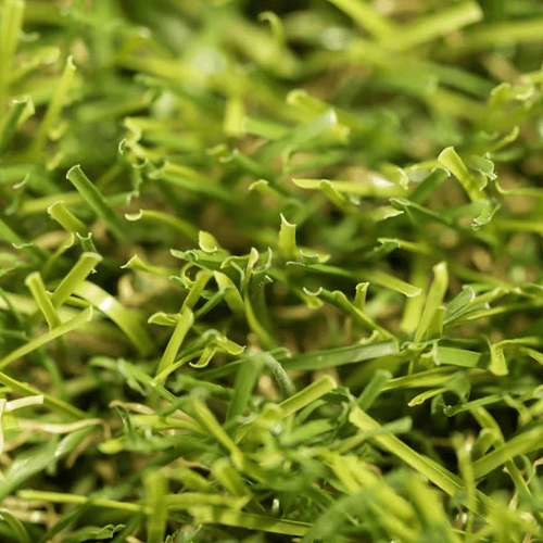 Relva_artificial_Vita_Realturf_Grass4you
