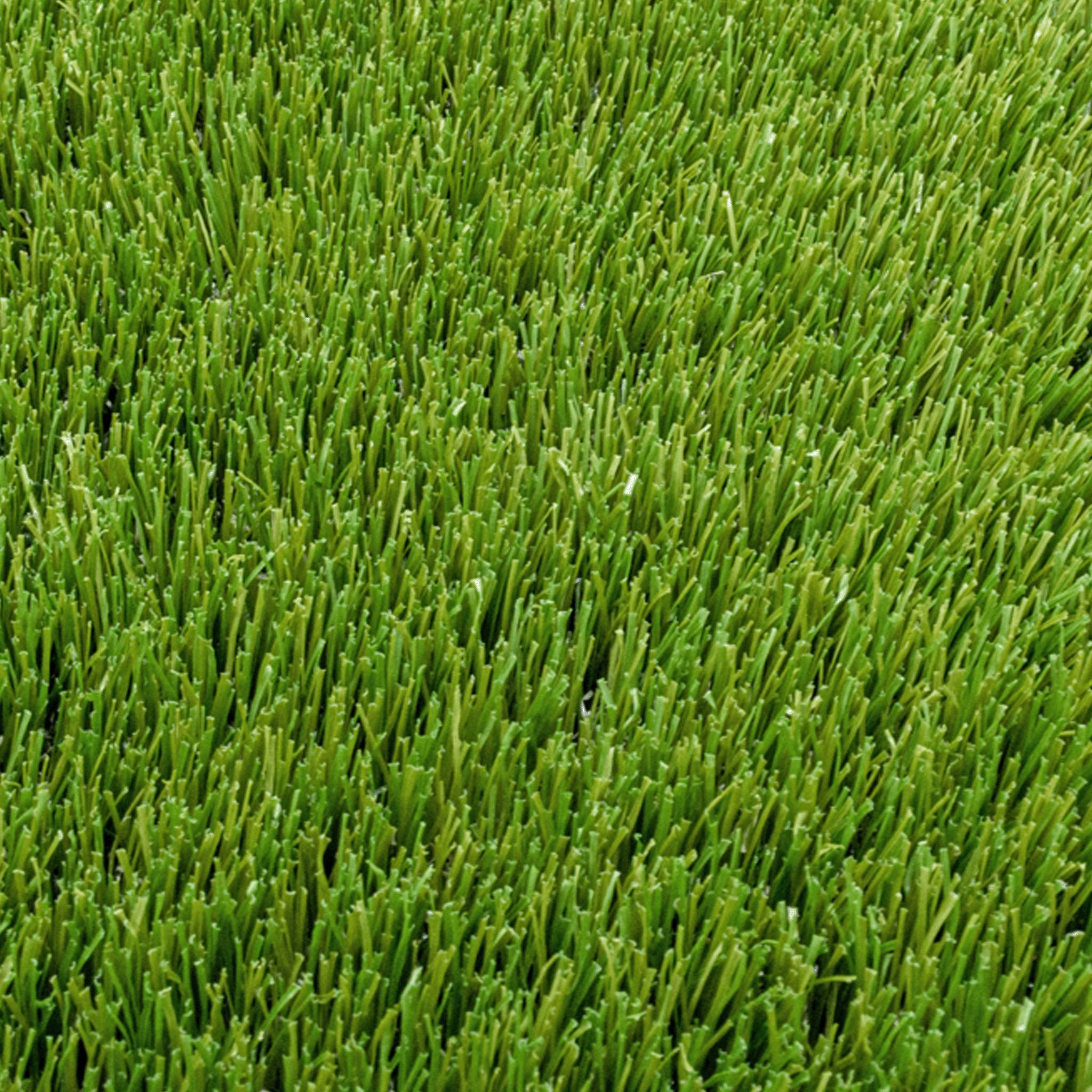 Relva Artificial | Relva Artificial para jardim | Grass4you – GRASS4YOU