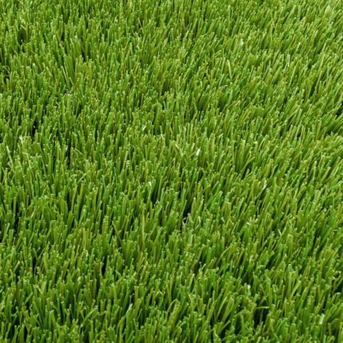 Relva artificial Aurea_Aurora_Grass4you