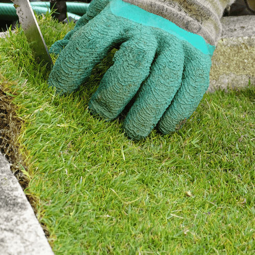 serviço colocação tapete de relva natural Grass4you