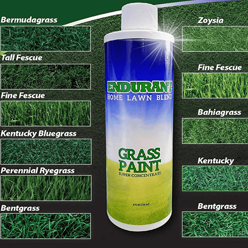 Tinta para relva natural Home lawn blend Endurant Grass4you