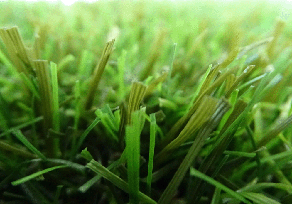 relva artificial Amesterdao_55mm_grass4you